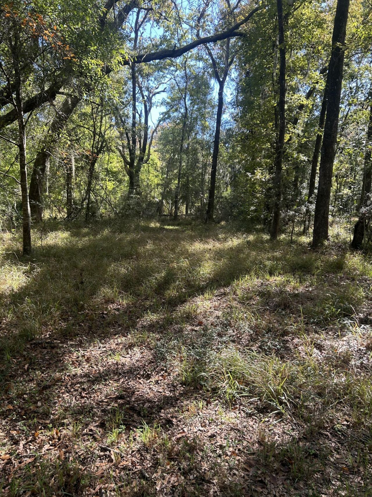 7887 Mary Seabrook Road Photo 39