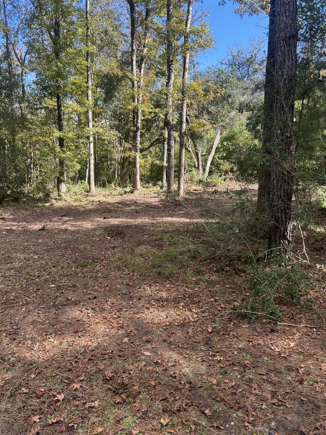 7887 Mary Seabrook Road Photo 42