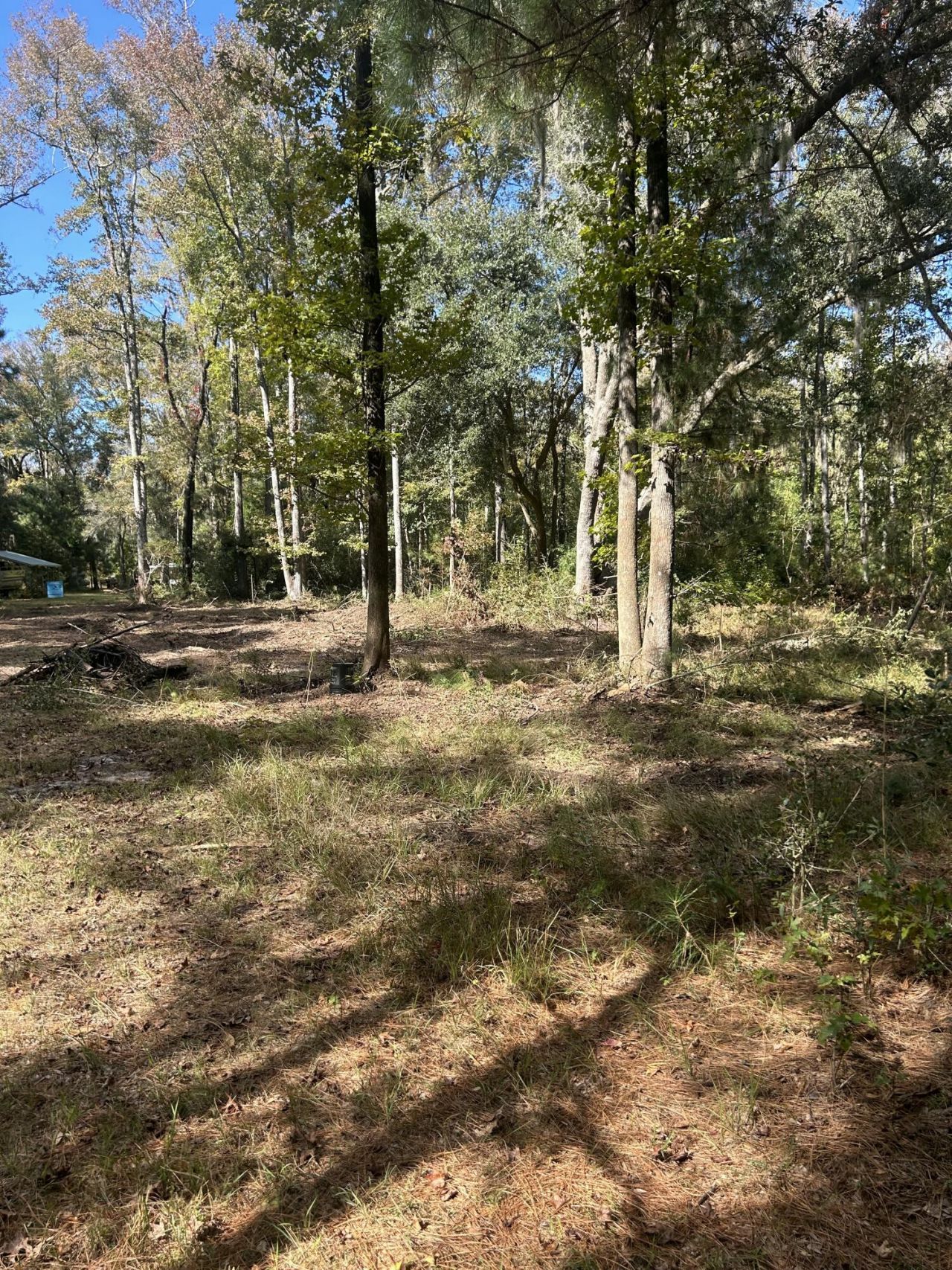 7887 Mary Seabrook Road Photo 43