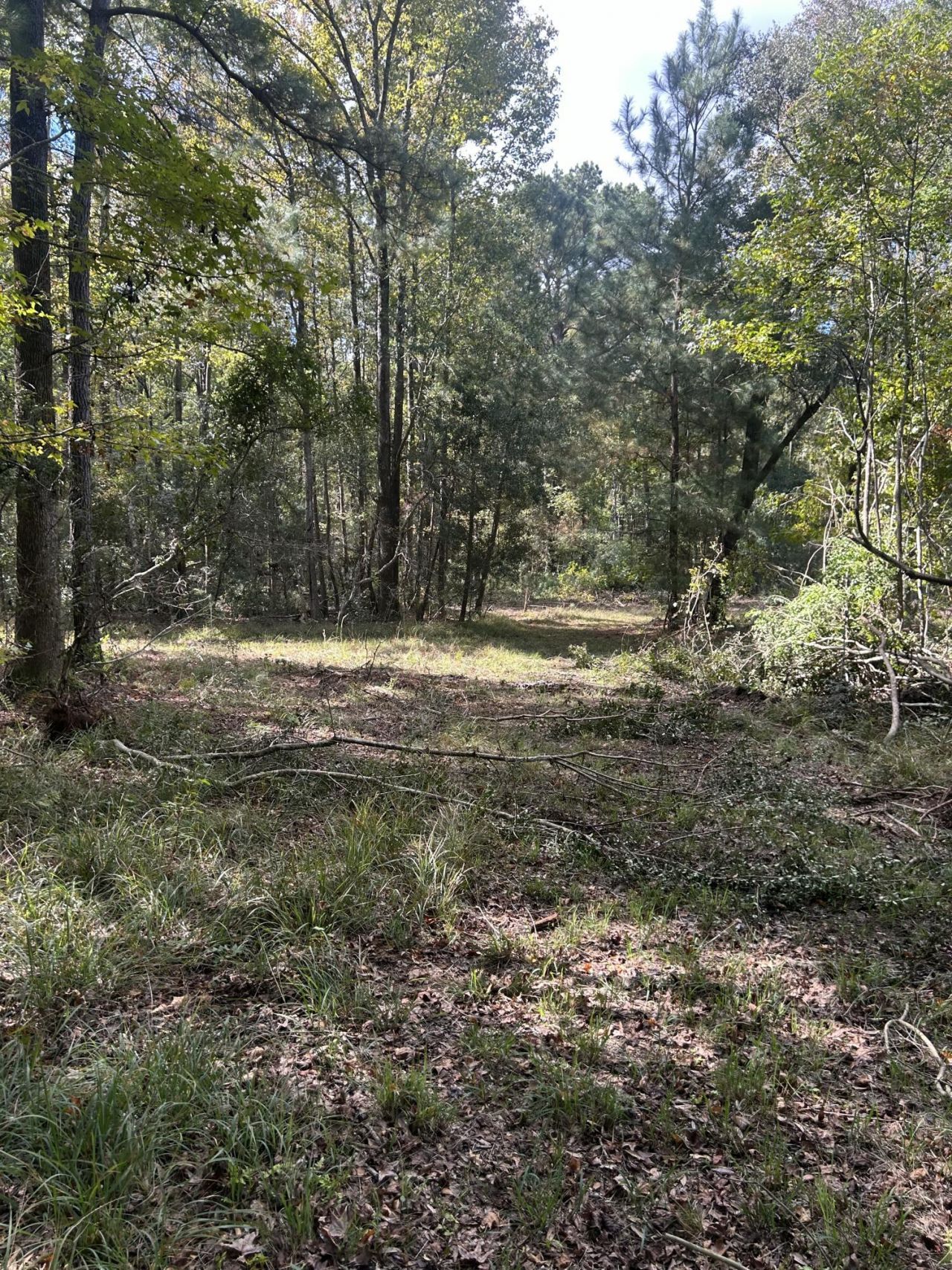 7887 Mary Seabrook Road Photo 44