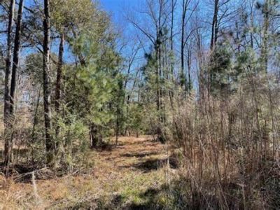 7887 Mary Seabrook Road Photo 6