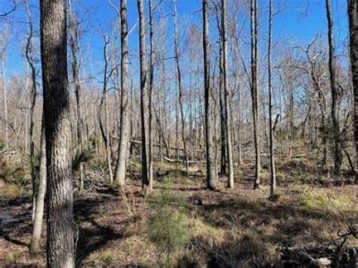 7887 Mary Seabrook Road Photo 7