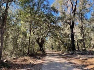 7887 Mary Seabrook Road Photo 8