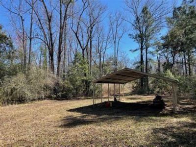 7887 Mary Seabrook Road Photo 9