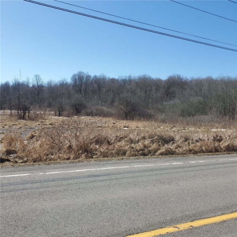 Lot 9 Stony Point Road, Spencerport, NY 14559 Main Photo