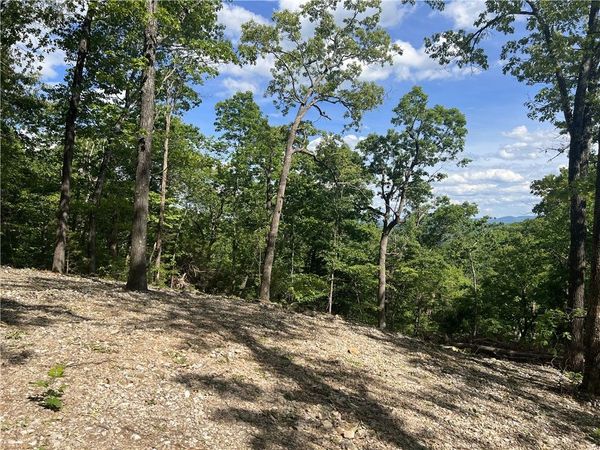 NC 2909, Marble Falls, AR 72648