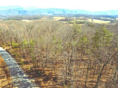 000 Short Hill Dr, Buchanan, VA 24066