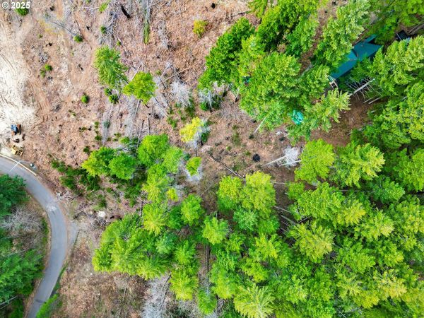 110 Guy Moore (Parcel 2) DR, Unit 2, Detroit, OR 97342