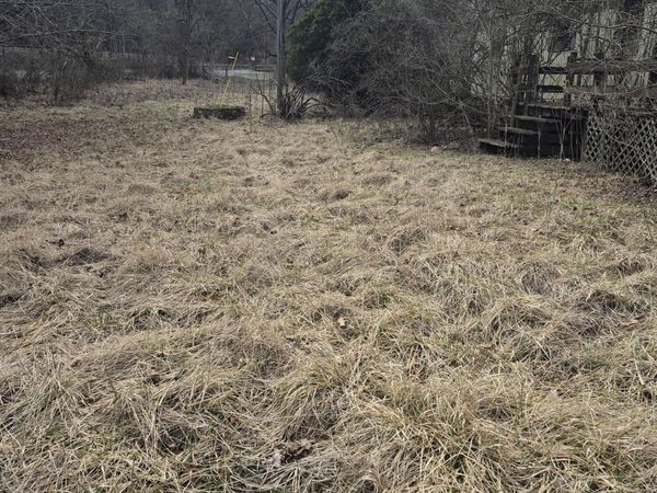 2201 Lithia RD, Buchanan, VA 24066