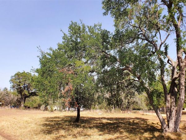 650 Beauchamp RD, Dripping Springs, TX 78620