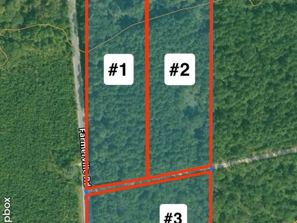 #3 350 Bradley 28 Road, Hermitage, AR 71647