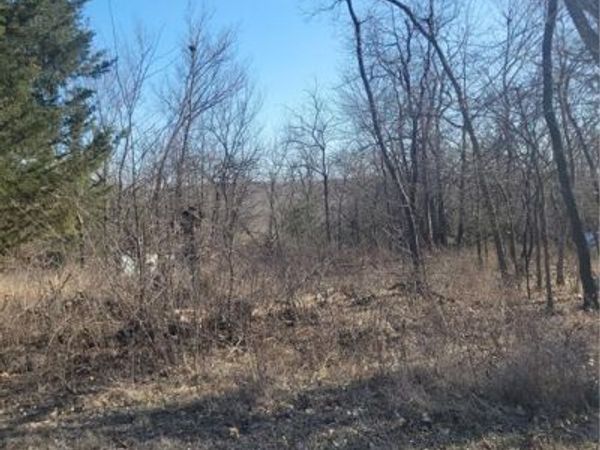 98 Maple Drive, Linn Valley, KS 66040