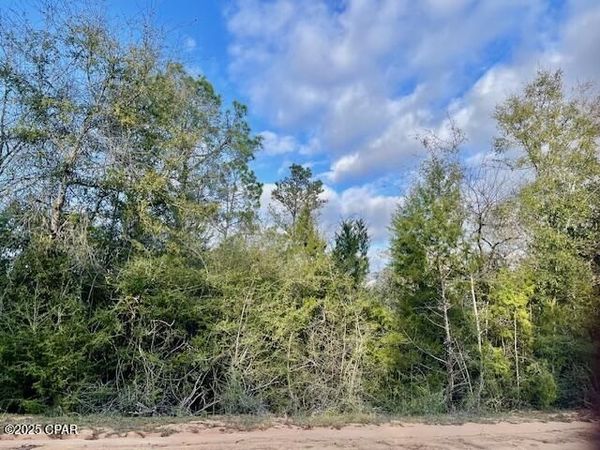Lot 38 Dorcas Road, Marianna, FL 32448