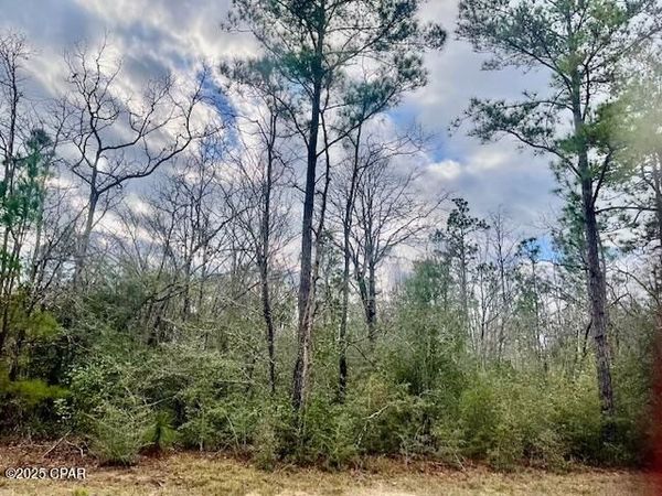 Lot 9 Red Road, Marianna, FL 32448