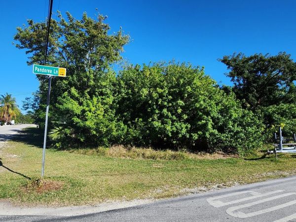 BK 24 LT 2 Pandorea Lane, Big Pine, FL 33043