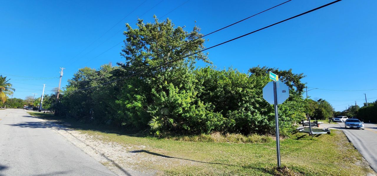 Bk 24 Lt 2 Pandorea Lane, Big Pine Key, FL 33043 Photo
