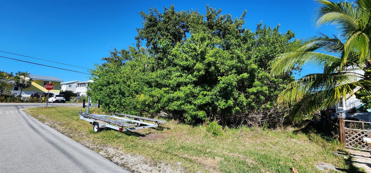 Bk 24 Lt 2 Pandorea Lane, Big Pine Key, FL 33043 Photo