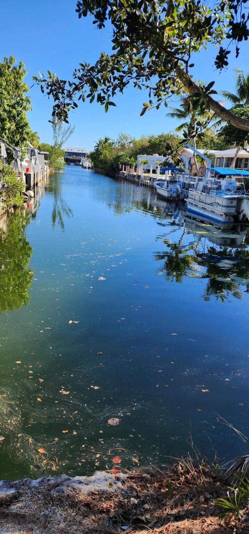 Bk 24 Lt 2 Pandorea Lane, Big Pine Key, FL 33043 Photo