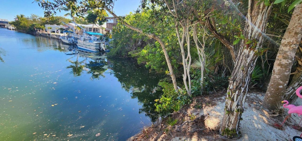 Bk 24 Lt 2 Pandorea Lane, Big Pine Key, FL 33043 Photo