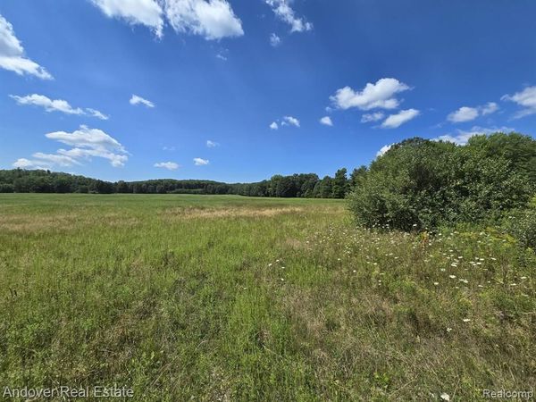 000C Leckrone Road, Brown Twp, MI 49619