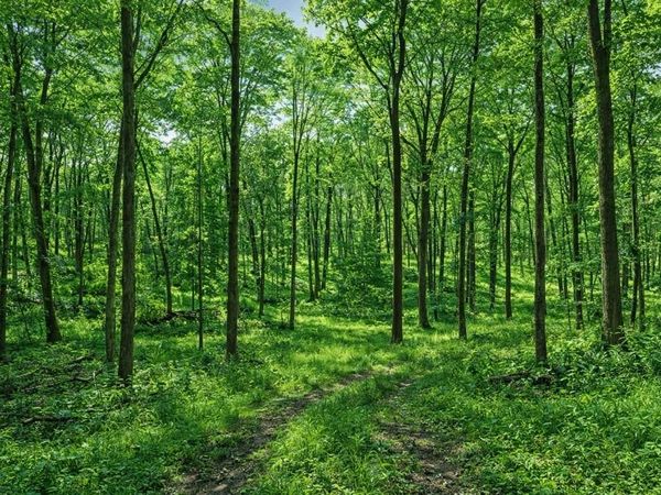 Lt0 Little Elkhart Lake Rd, Rhine, WI 53020