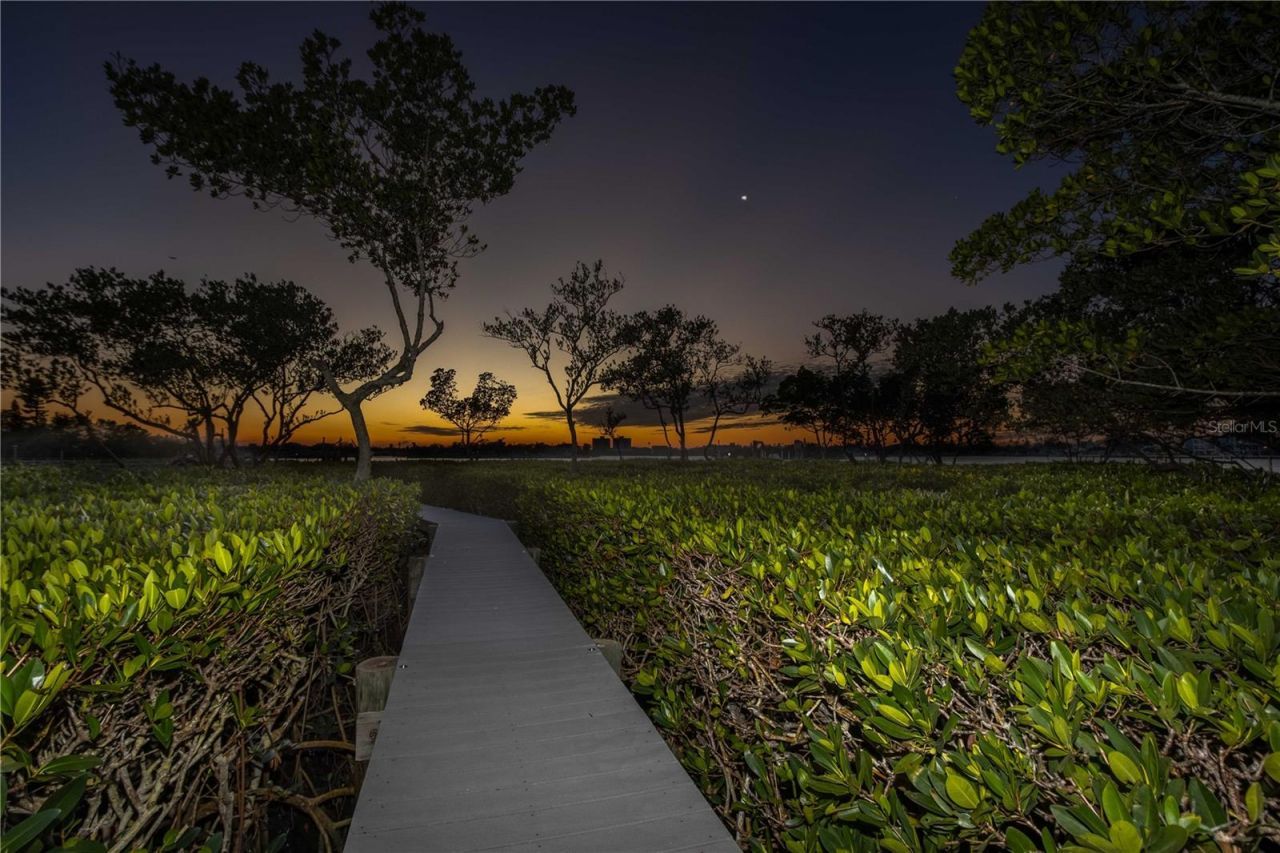 12808 Harborwood Drive, Largo, FL 33774 Photo