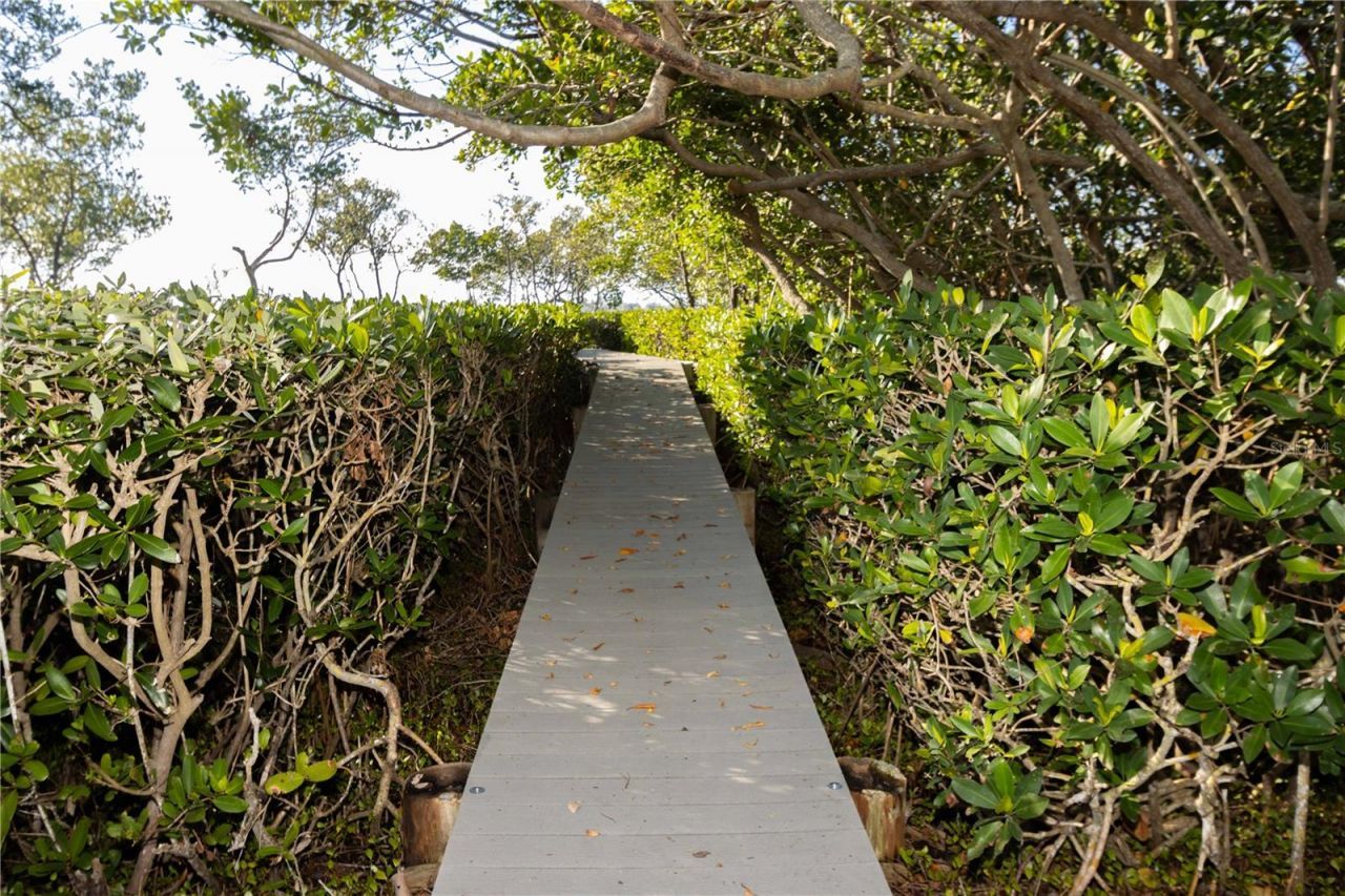 12808 Harborwood Drive, Largo, FL 33774 Photo