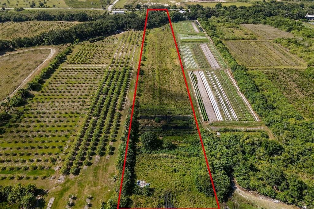 11716 Cr 672 Highway, Riverview, FL 33579 Photo