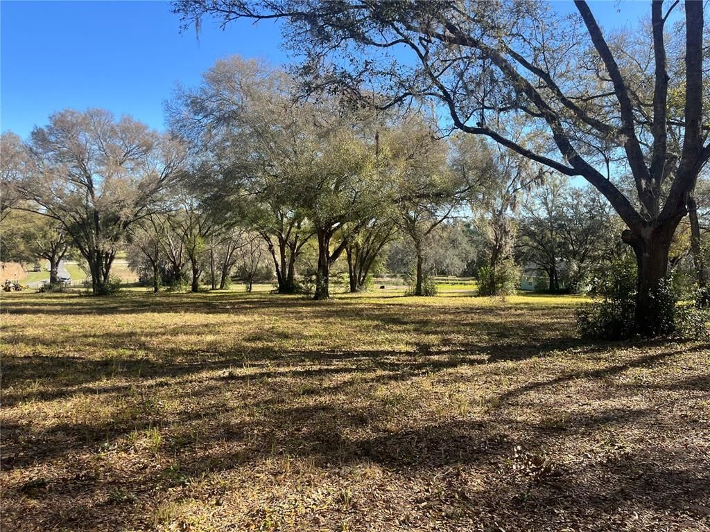 000 SE 118th Lane, Belleview, FL 34420 Photo