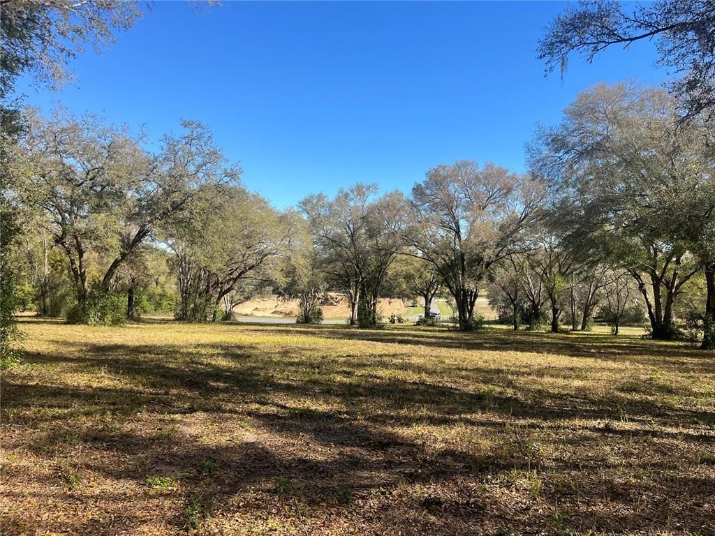 000 SE 118th Lane, Belleview, FL 34420 Photo