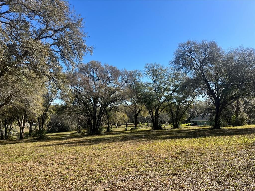 000 SE 118th Lane, Belleview, FL 34420 Photo