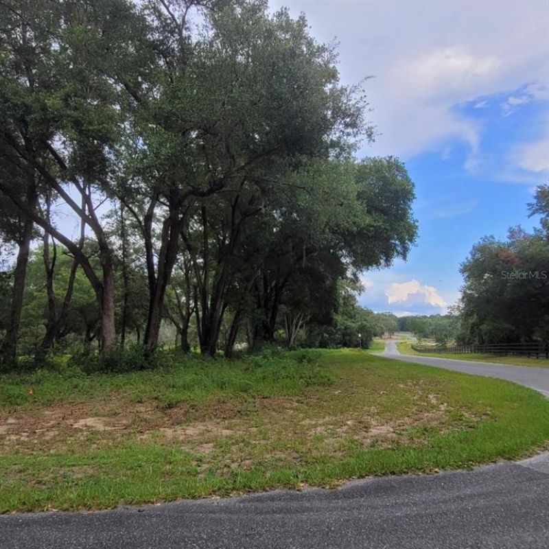 000 SE 118th Lane, Belleview, FL 34420 Photo