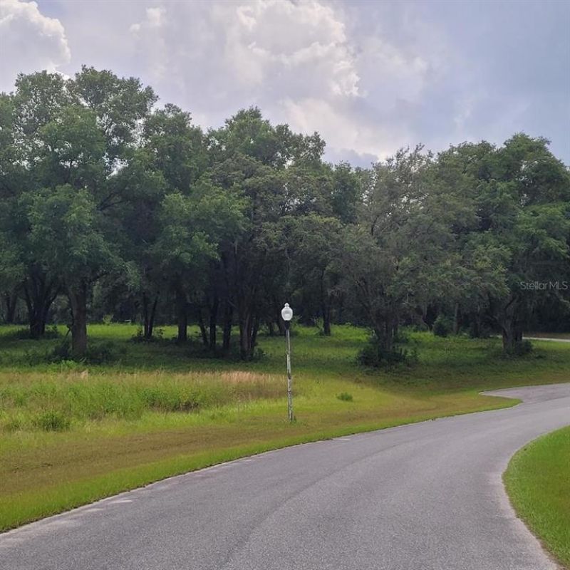 000 SE 118th Lane, Belleview, FL 34420 Photo