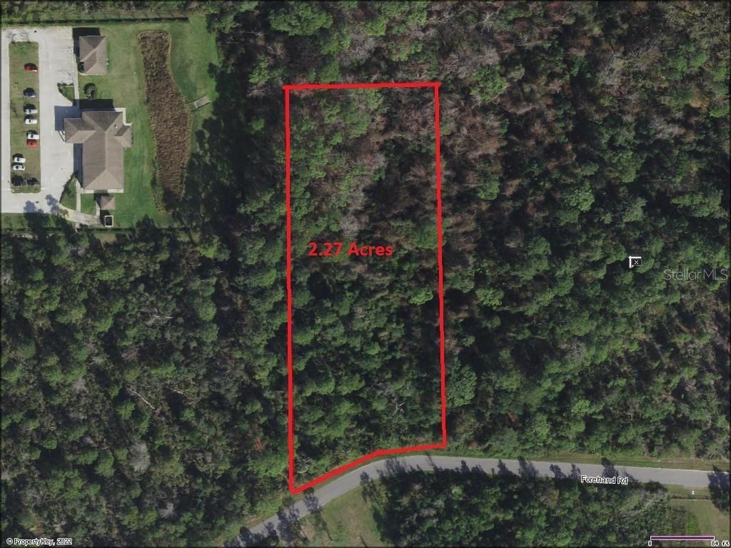 Forehand Road, Davenport, FL 33896 Photo