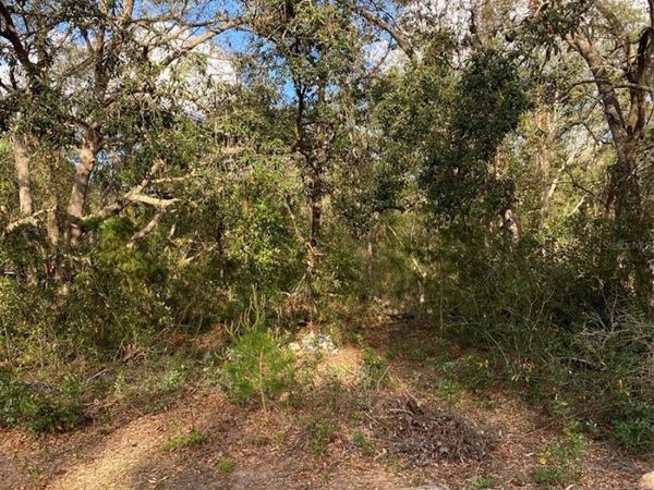 DOGWOOD WAY, LADY LAKE, FL 32159