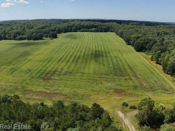 00B Leckrone Road, Brown Twp, MI 49619