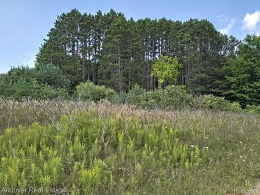 00B 11 Mile Road, Manistee, MI 49614