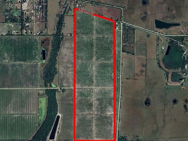 7019 SE PRAIRIE CREEK ROAD, ARCADIA, FL 34266