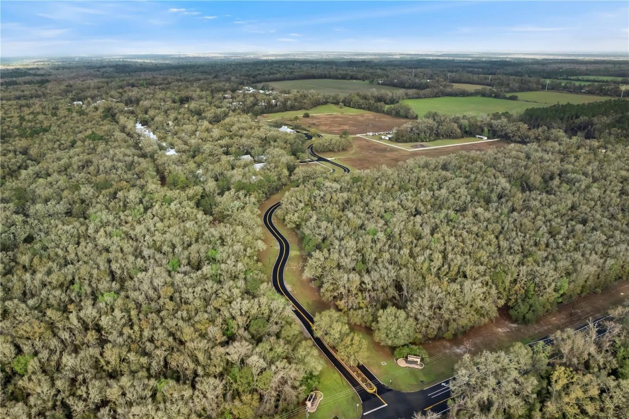 9250 Emily Drive, Fanning Springs, FL 32693 Photo