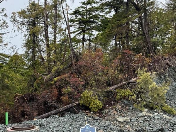 Lot 89 Shore Pine Dr, Ucluelet, BC V0R 3A0
