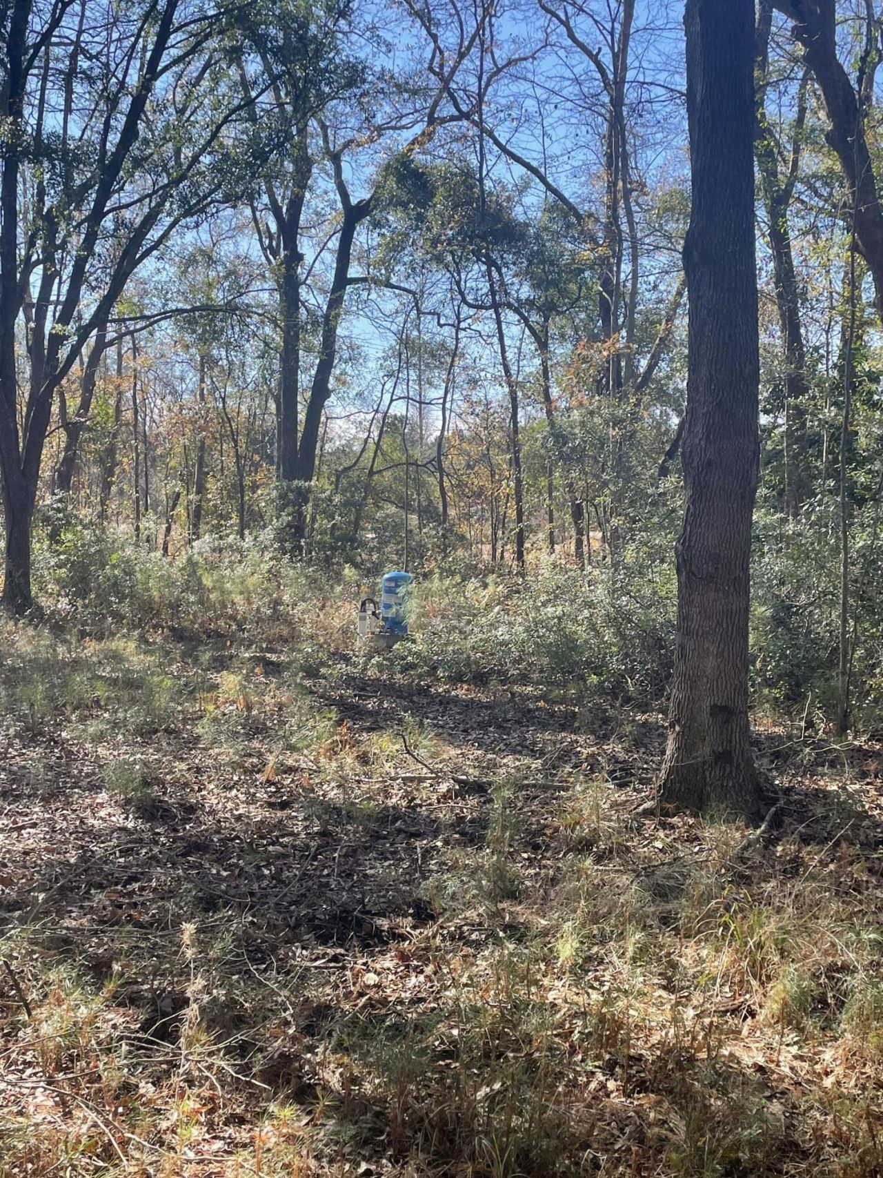 00 N Highway 17 Photo 20