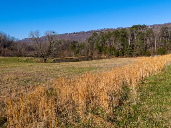 4975 Browntown Road, Chattanooga, TN 37415