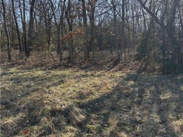 22AC Gann Ridge Road, Garfield, AR 72732
