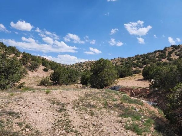 Tres Amigos, Placitas, NM 87043