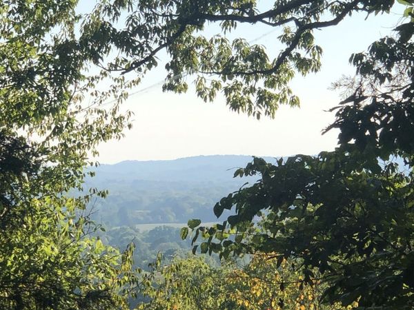 1462 Sneed Rd W, Franklin, TN 37069