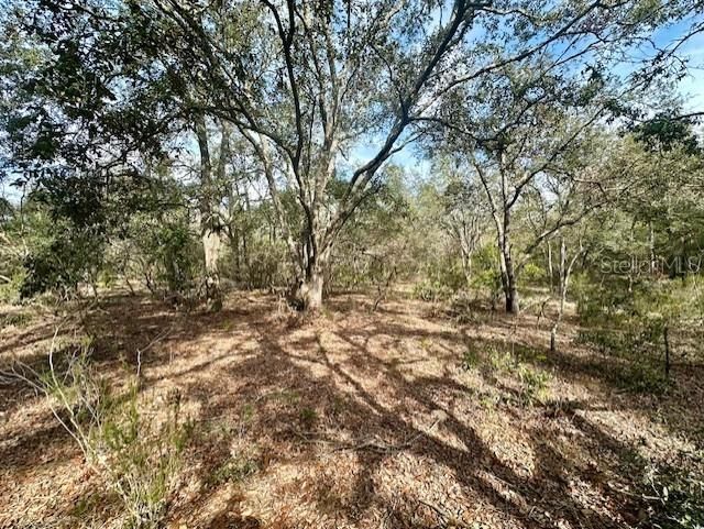 Nw County Road 236, Bell, FL 32619 Photo