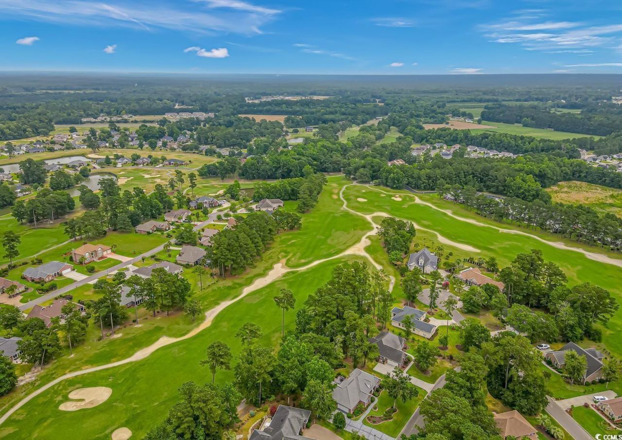 1043 Yellow Jasmine Dr. Photo 40