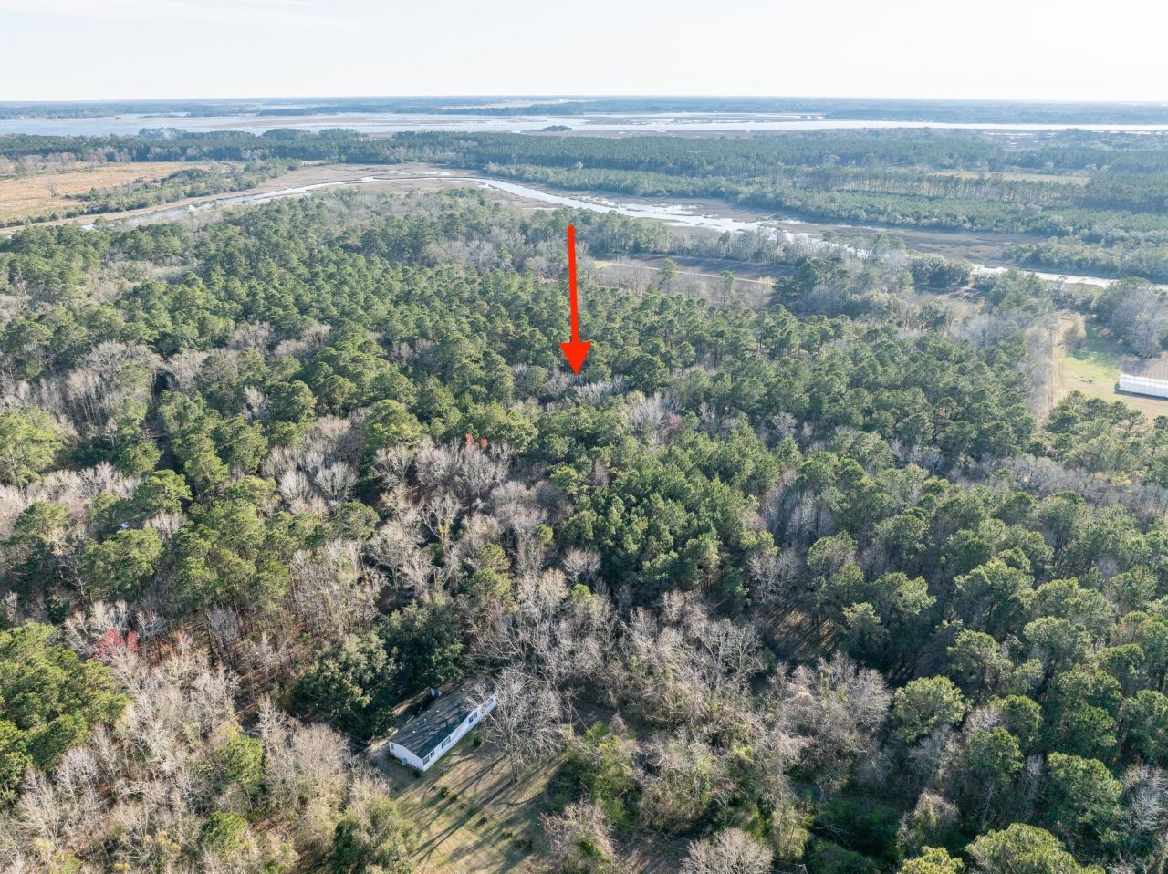 26 Swamprose Lane Photo 10