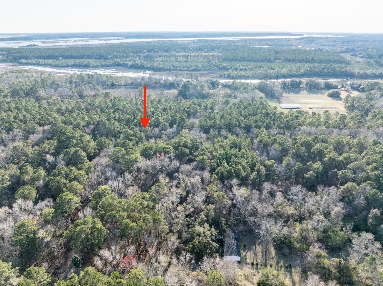 26 Swamprose Lane Photo 11