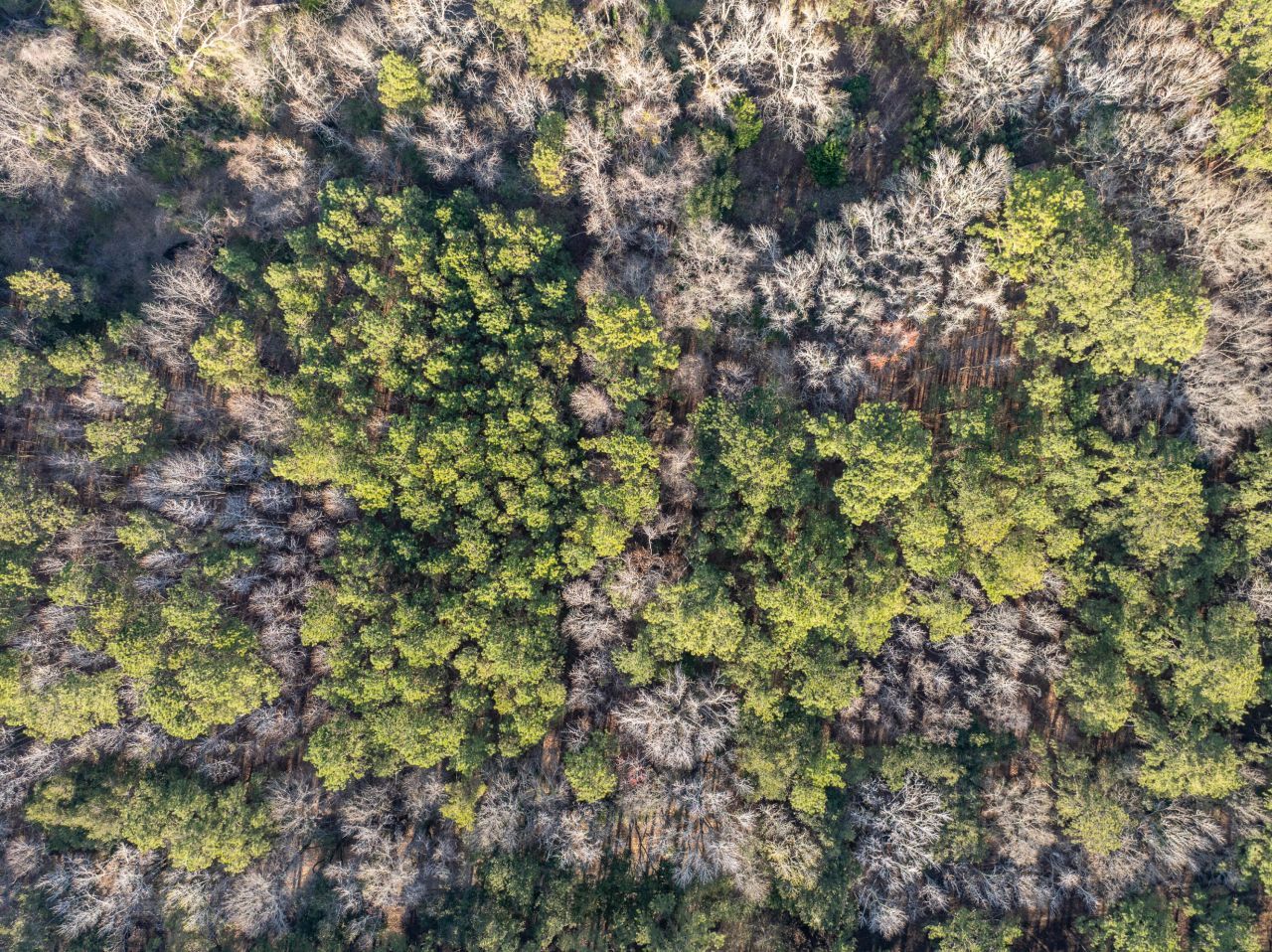 26 Swamprose Lane Photo 12